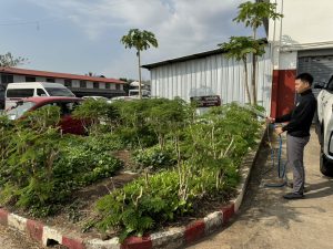 กิจกรรม big cleaning day ประจำเดือน พฤศจิกายน พ.ศ.2567